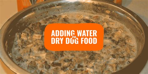 How much water do you mix with dry dog food?