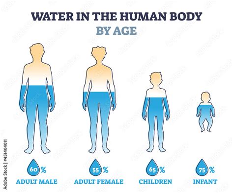 How much water is in a 70kg person?