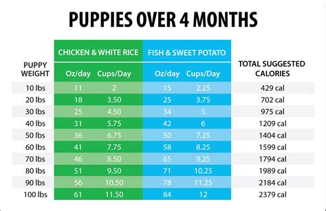 How much water should I add to puppy food?