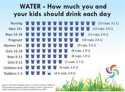 How much water should I drink a day according to my age?
