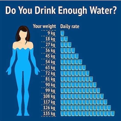 How much water should I drink a day in Litres?