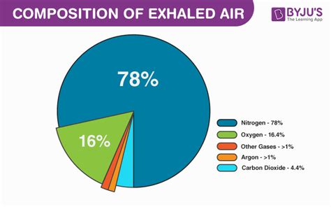 How much water vapor do we inhale?