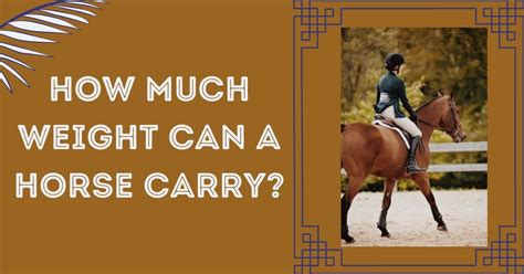 How much weight can a 20 year old horse carry?