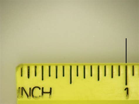 How much weight is 1 inch?