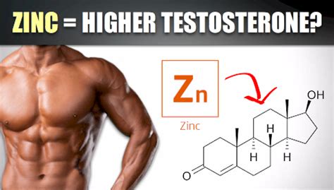 How much zinc for testosterone?