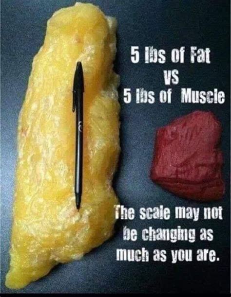 How noticeable is 15 pounds?