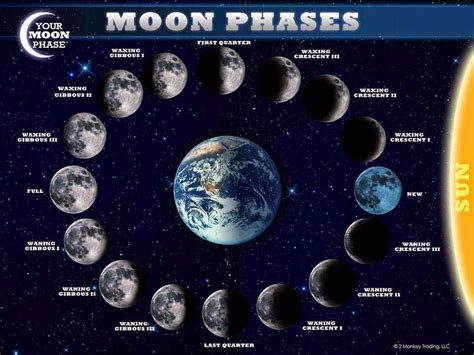 How often are there 13 new moons?