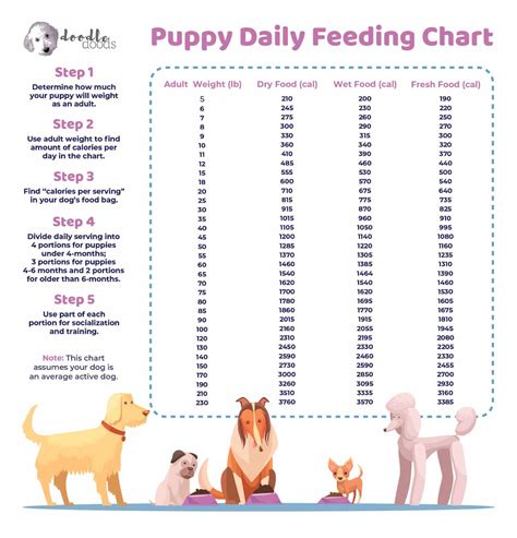 How often do 4 week old puppies need feeding?