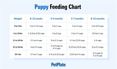 How often do 4 week old puppies need to eat?