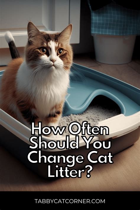 How often do you change cat litter?