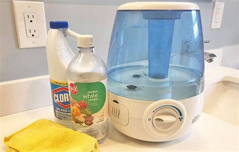 How often do you clean a cool mist humidifier?