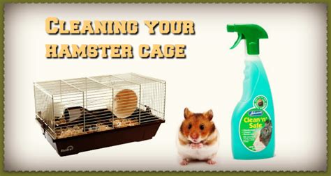How often do you need to clean a hamster cage?