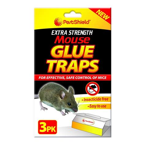 How often should I check glue traps?