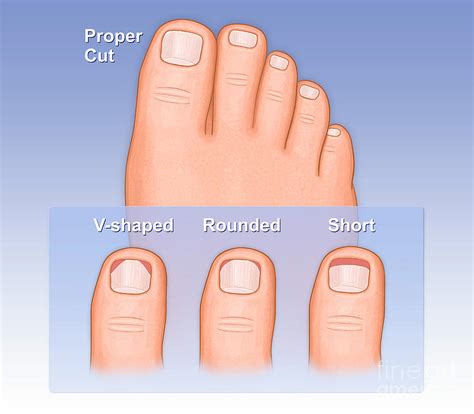 How often should I cut my toenails?