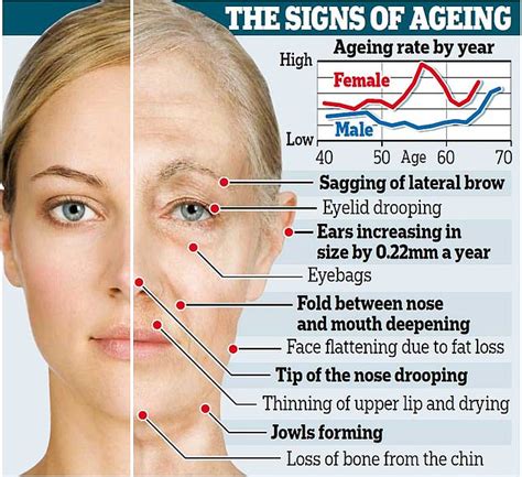 How often should a 40 year old get a facial?