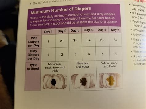 How often should a newborn poop?