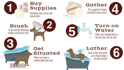 How often should dogs be bathed?