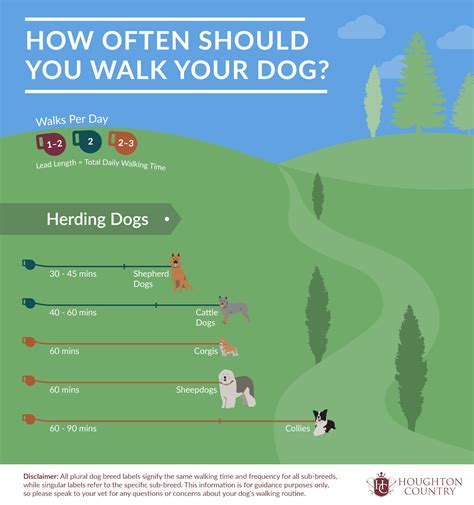 How often should dogs run?