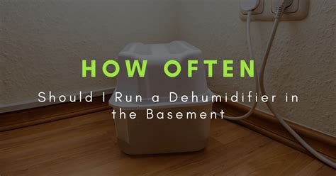 How often should you dehumidify your basement?