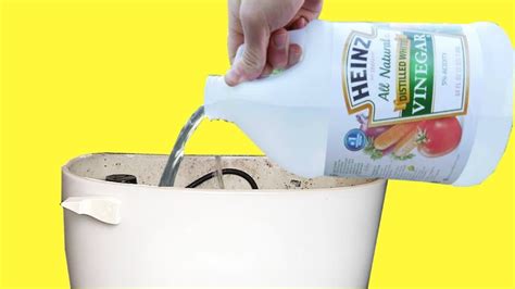 How often should you put vinegar in your toilet tank?