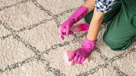 How often should you shampoo your carpets?