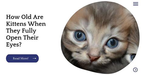 How old are kittens when they open their eyes?