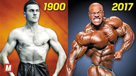 How old are most bodybuilders?