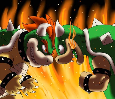 How old is Bowser?