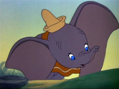 How old is Dumbo?