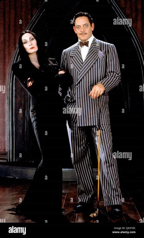 How old is Gomez Addams?