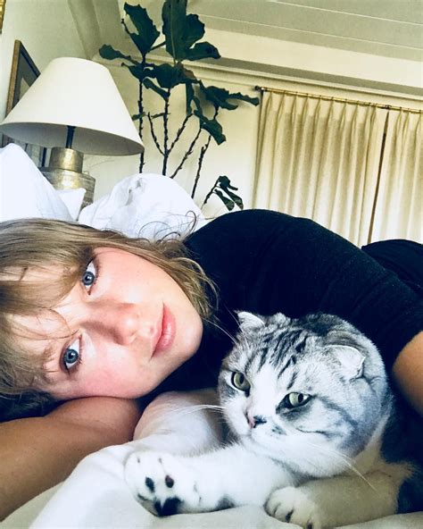 How old is Taylor Swift's cat Meredith?
