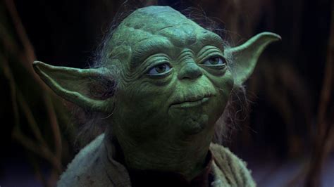 How old is Yoda the mouse?