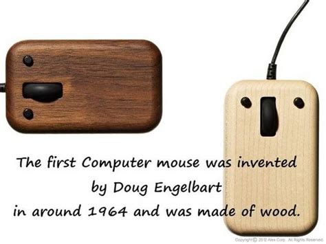 How old is the oldest mouse ever?