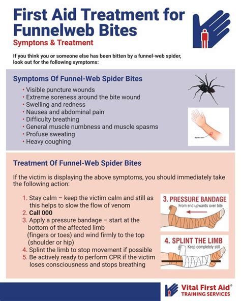 How painful is a funnel web bite?