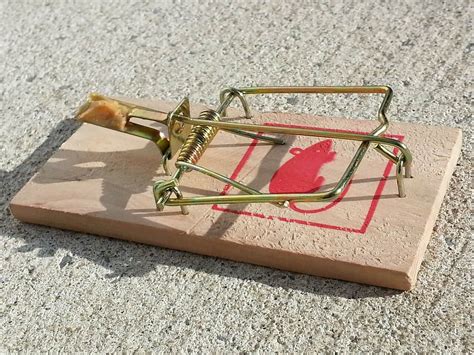 How painful is a mouse trap?