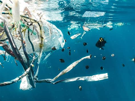 How plastic is affecting our life?