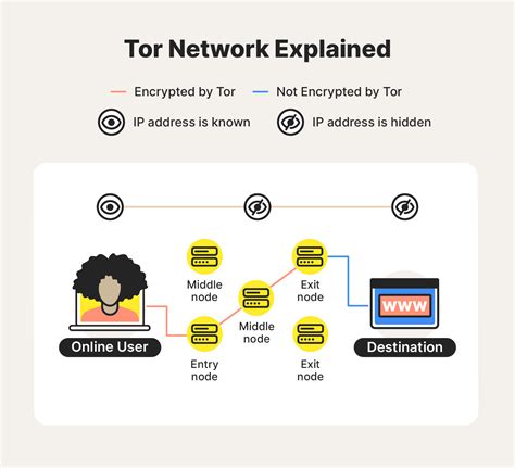 How private is Tor?