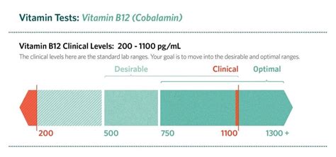 How quickly can B12 levels drop?