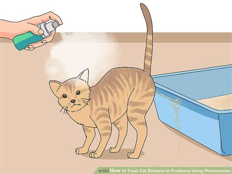How quickly do cat pheromones work?
