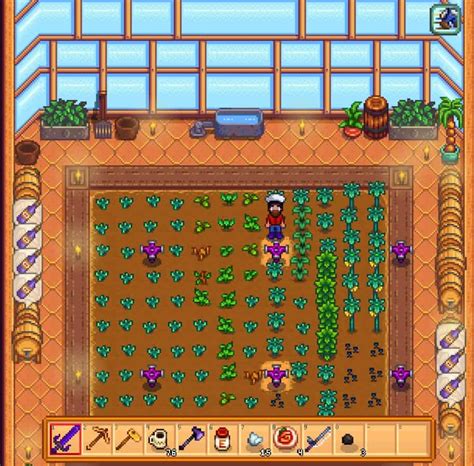 How rare is Ancient Seed Stardew?