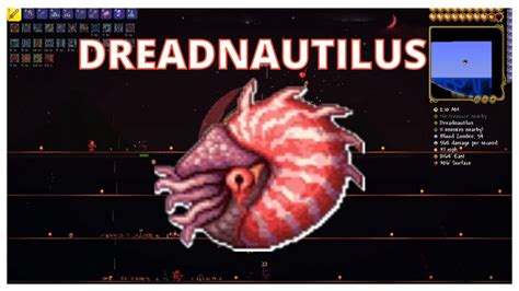 How rare is Dreadnautilus Terraria?