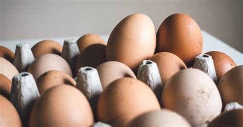 How rare is Salmonella in raw eggs?