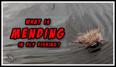 How rare is fish mending?