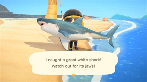 How rare is it to catch a great white shark in Animal Crossing?