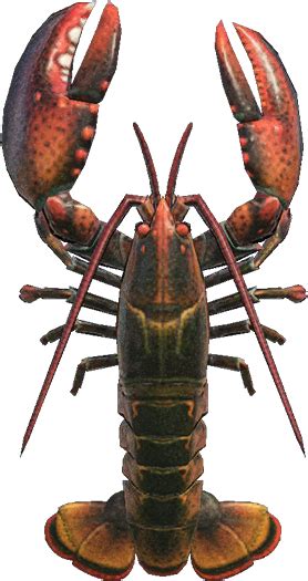How rare is lobster Animal Crossing?