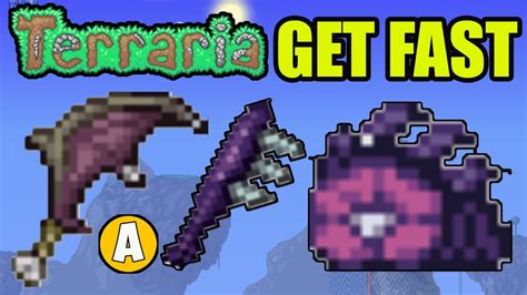 How rare is monster meat Terraria?