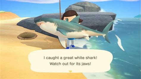 How rare is shark in Animal Crossing?