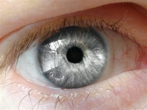 How rare is silver eye color?
