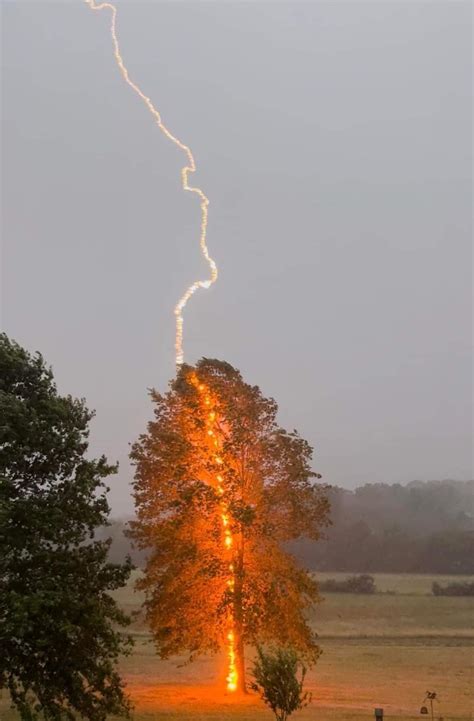 How rare is struck by lightning?