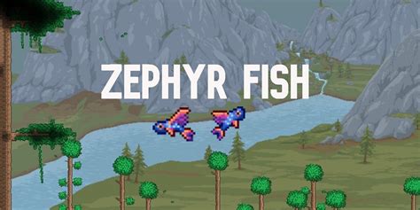 How rare is the Zephyr fish?